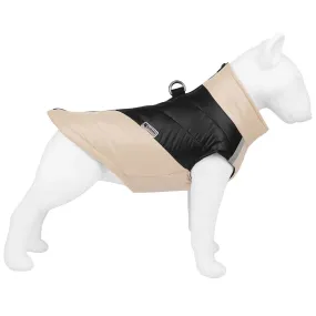 Leash-Ready Two-Color Vest